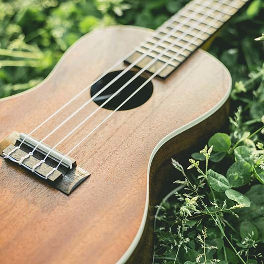 ウクレレコース(個人レッスン)