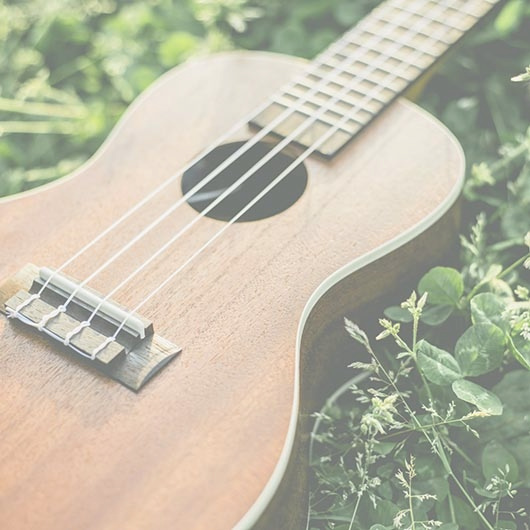 ウクレレコース(個人レッスン)